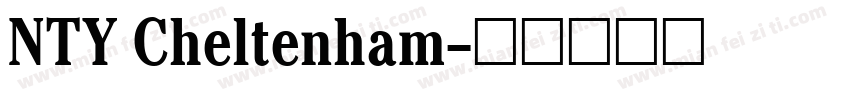 NTY Cheltenham字体转换